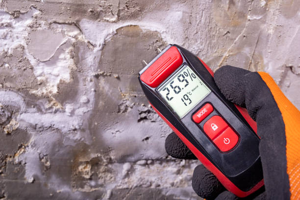 Best Home Mold Removal  in Canaan, CT