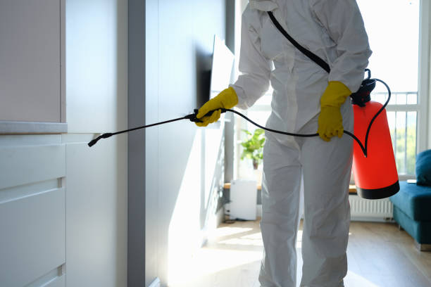 Best Certified Mold Removal  in Canaan, CT