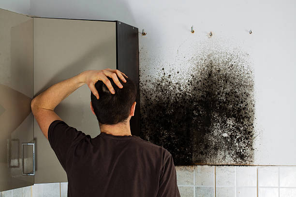 Best Crawl Space Mold Removal  in Canaan, CT